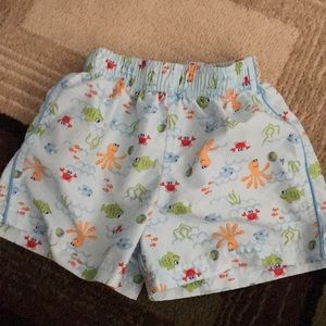Koala Kids swim trunks. 18 months.